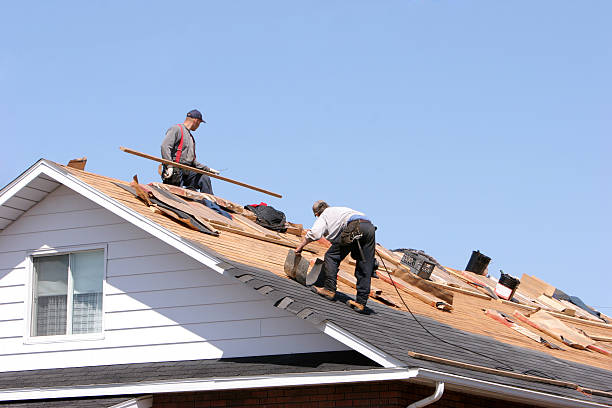 Best Chimney Flashing Repair  in Lavaca, AR
