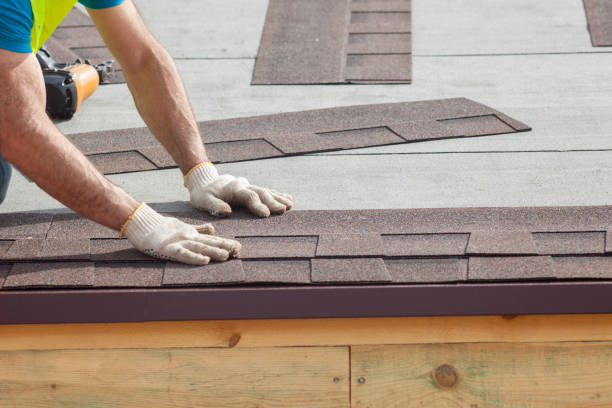 Best Skylight Installation and Repair  in Lavaca, AR