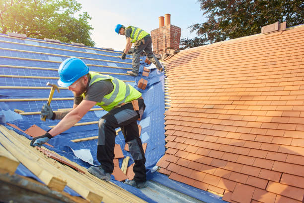Best Roof Maintenance and Cleaning  in Lavaca, AR